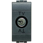 BTIL4202D living international presa TV derivata maschio