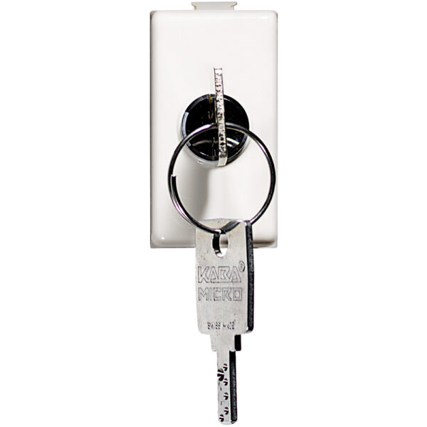 matix - interruttore 2P 16A chiave BTIAM5007