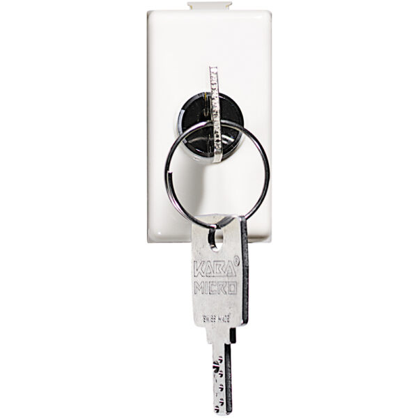 matix - deviatore 2P 16A chiave BTIAM5007D
