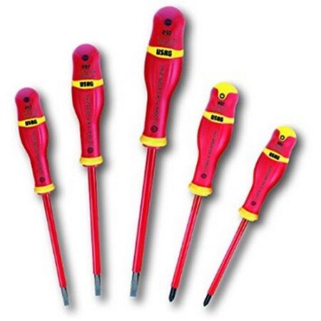 KIT GIRAVITE CON 5 PEZZI USAG00920100