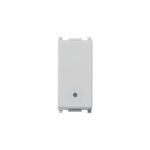 Interruttore 1P 10AX Silver VIW14000SL